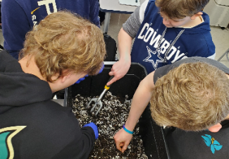 4 high school boys work on composting