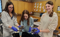 3 high school girls work on composting