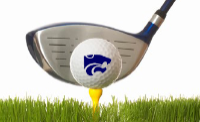 Golf ball with Saber logo