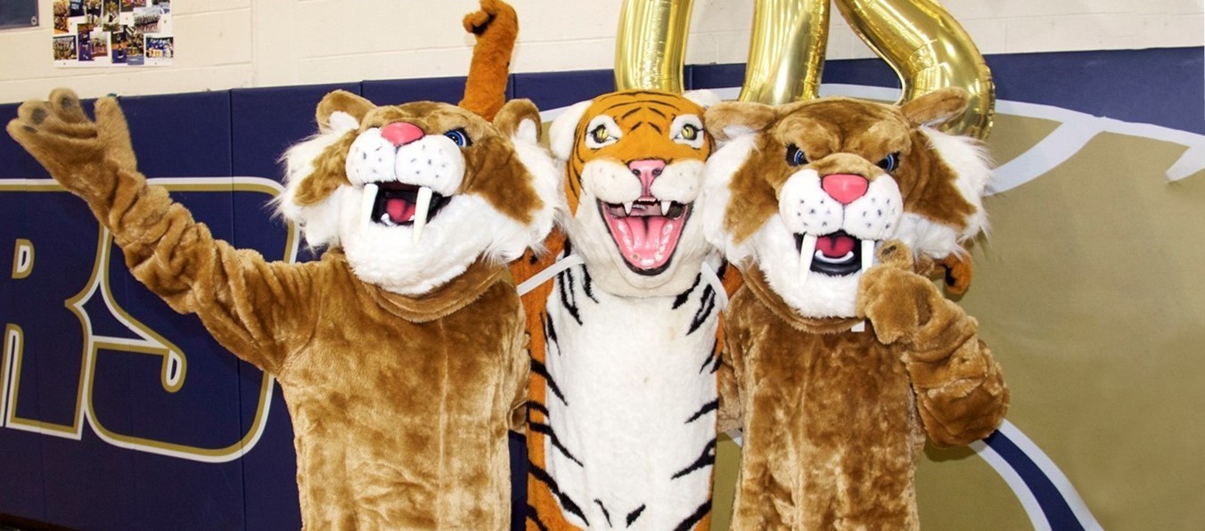 A Trio of Saber mascots
